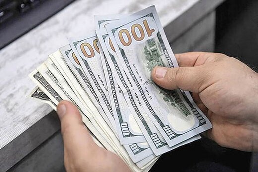 جراحی اقتصادی محدود به تغییر قیمت شد/ فرزین در 45 روز چقدر رانت توزیع کرد؟ جراحی اقتصادی محدود به تغییر قیمت شد/ فرزین در 45 روز چقدر رانت توزیع کرد؟