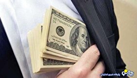 شیفت رانت از ارز ترجیحی به وام‌های بانکی!